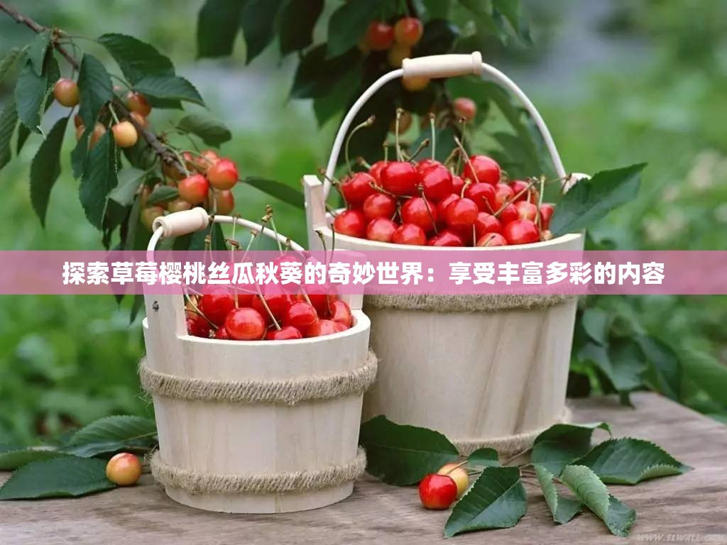 探索草莓樱桃丝瓜秋葵的奇妙世界：享受丰富多彩的内容