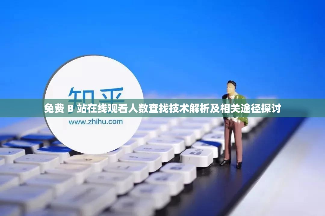 免费 B 站在线观看人数查找技术解析及相关途径探讨