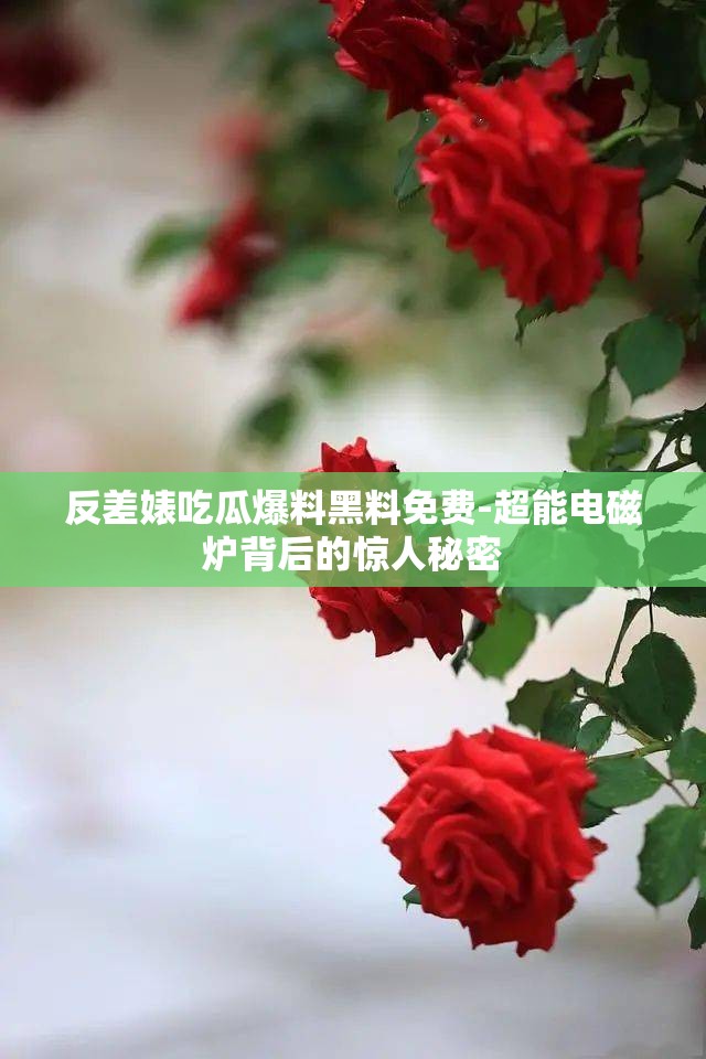 反差婊吃瓜爆料黑料免费-超能电磁炉背后的惊人秘密